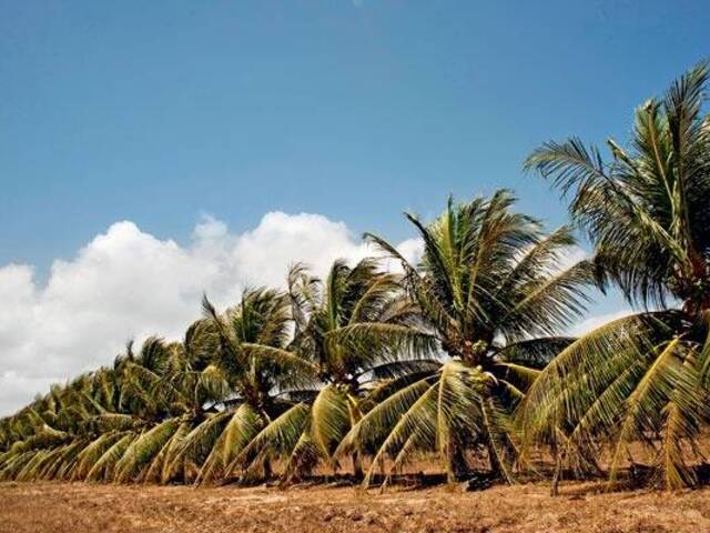 Venda em INTERIOR - Fortaleza