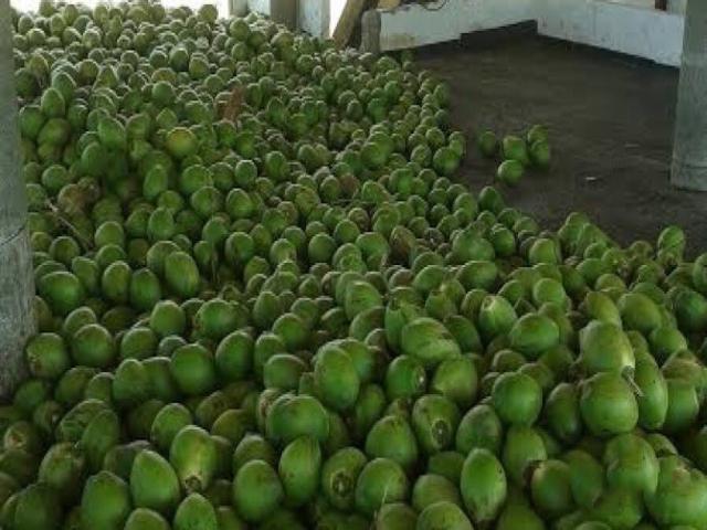 Chácara para Venda em Fortaleza - 4