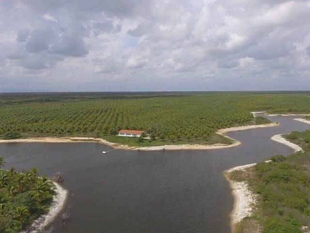 #32 - Fazenda para Venda em Fortaleza - CE - 2