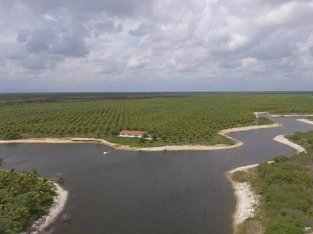 #32 - Fazenda para Venda em Fortaleza - CE - 2