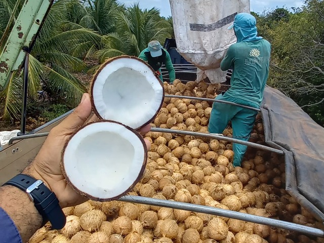 #32 - Fazenda para Venda em Fortaleza - CE - 3