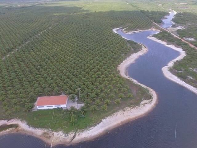 #32 - Fazenda para Venda em Fortaleza - CE - 1